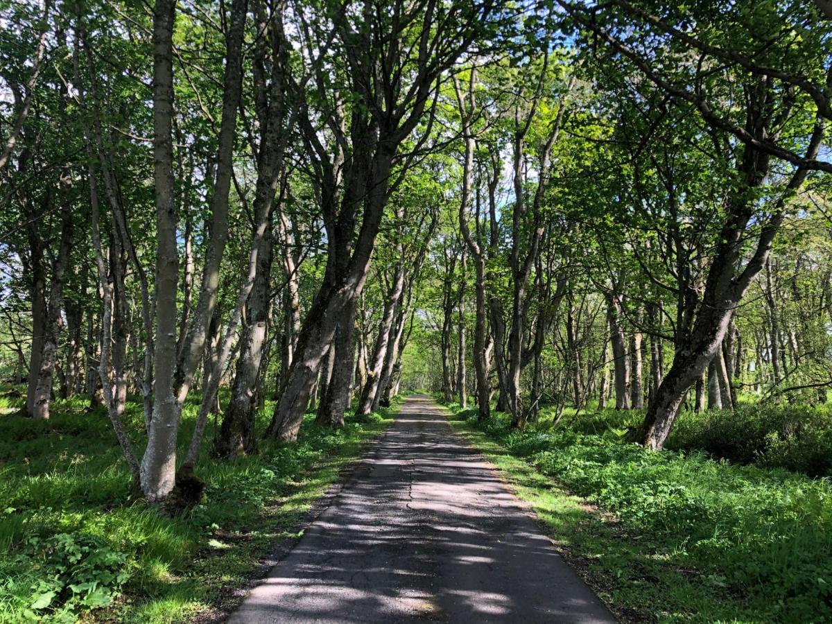 Forse Of Nature Latheron ภายนอก รูปภาพ