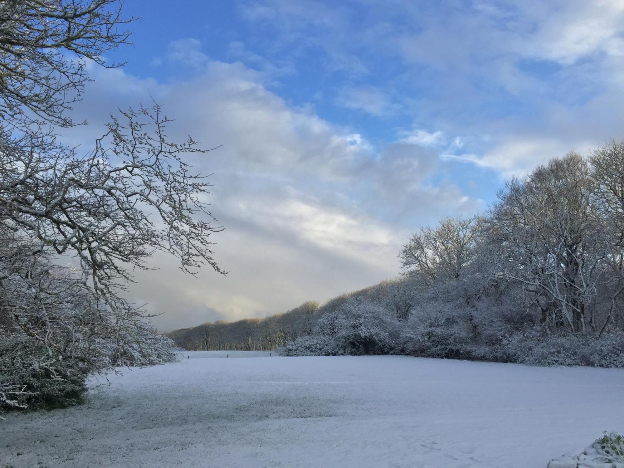 Forse Of Nature Latheron ภายนอก รูปภาพ