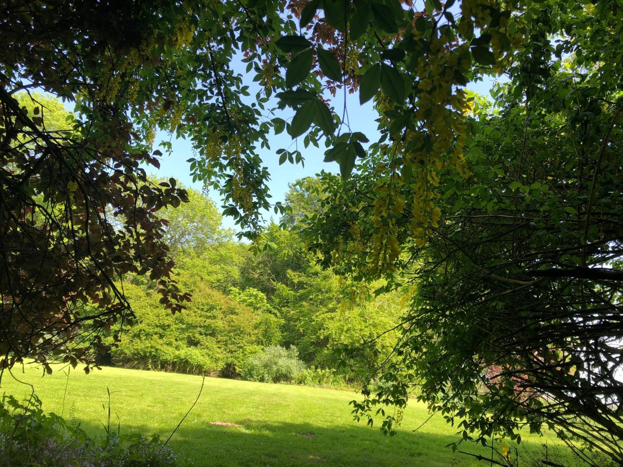 Forse Of Nature Latheron ภายนอก รูปภาพ