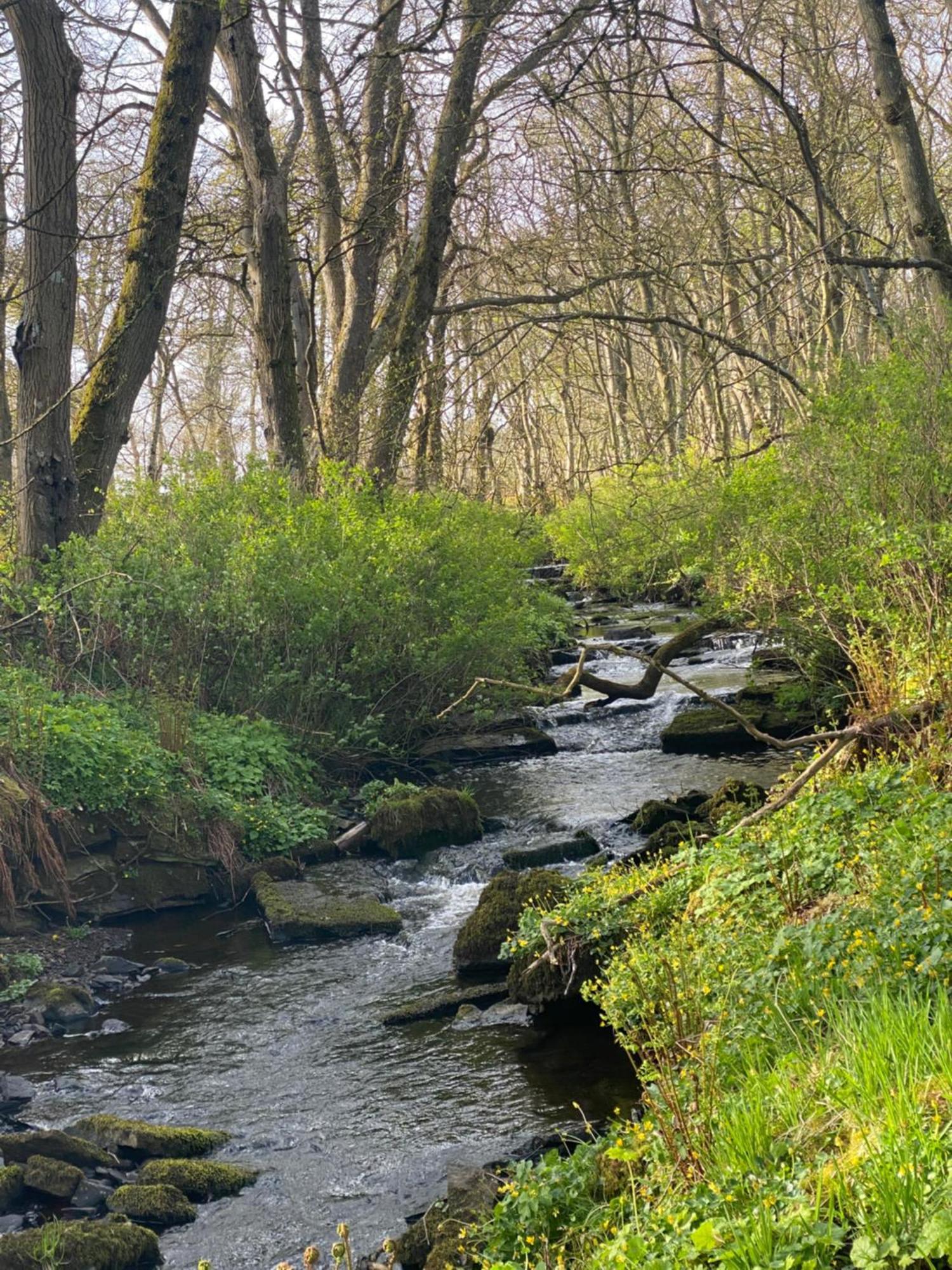 Forse Of Nature Latheron ภายนอก รูปภาพ