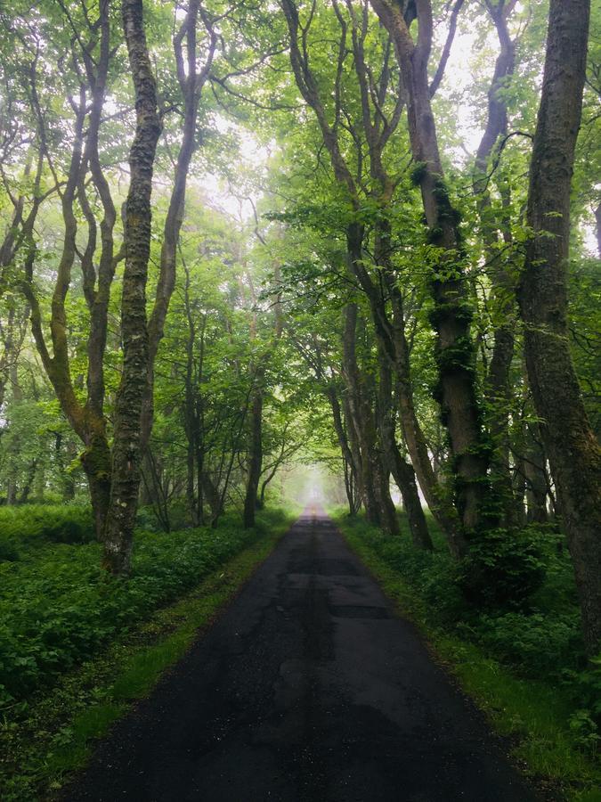 Forse Of Nature Latheron ภายนอก รูปภาพ